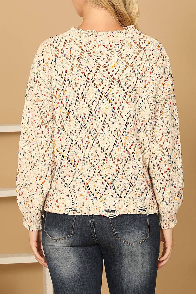 PLUS Multi-Color Crochet Sweater